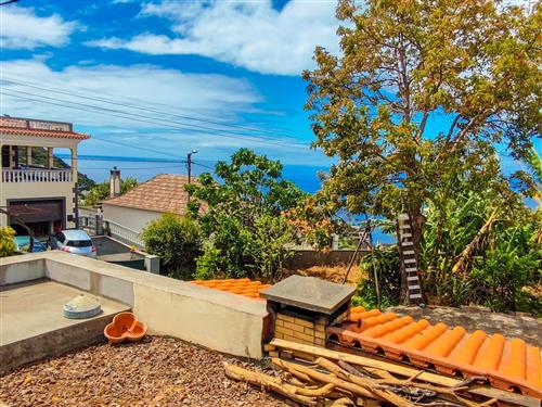 Holiday apartment - 5 persons -  - Arco Da Calheta - 9370-050