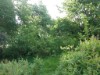 Image 21 - Outside