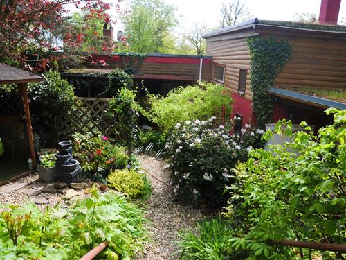 Holiday home - 4 persons -  - Weinbergstraße - 04651 - Bad Lausick