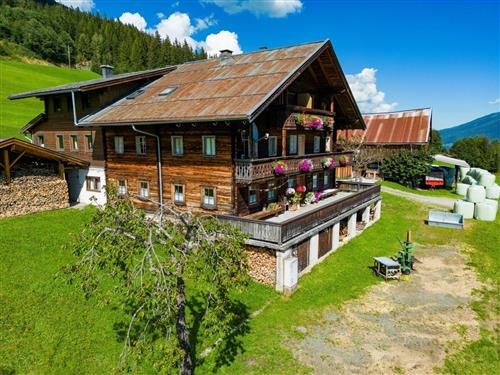 Holiday home - 16 persons -  - Neukirchen Am Großvenediger - 5741