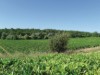 Bilde 10