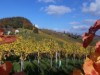 Billede 9