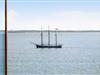 Billede 28