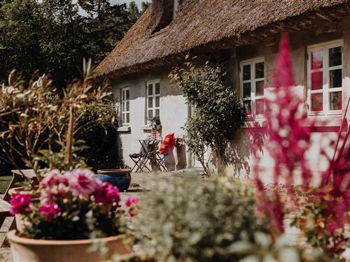 Bondehus - 7 personer -  - Hellebjergvej - 3120 - Dronningmølle