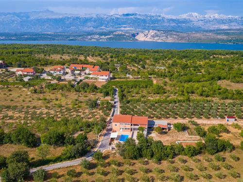 Feriehus / leilighet - 12 personer -  - Svete Denone - Zadar-Novigrad - 23312 - Novigrad