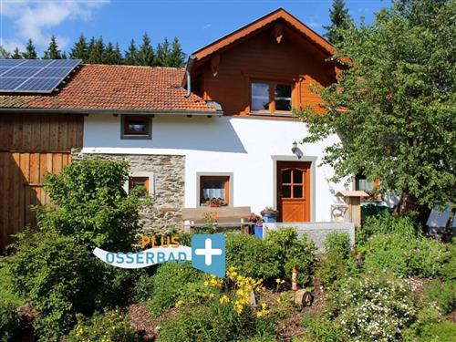 Ferielejlighed - 4 personer -  - Neukirchenerstrasse - 93462 - Lam