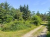 Bild 22