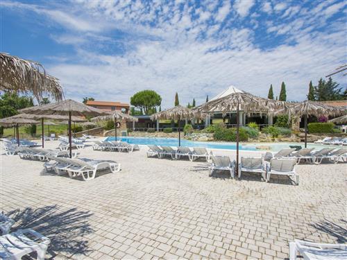 Ferielejlighed - 6 personer -  - Riparbella - 56049