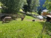Billede 3