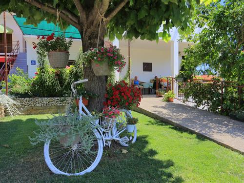 Ferieleilighet - 3 personer -  - Živogošce - Blato - 21329 - Živogošce - Blato