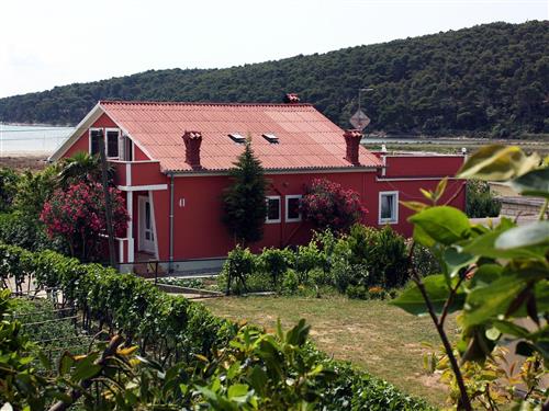 Ferielejlighed - 2 personer -  - Kampor - 51280 - Rab