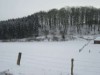 Bilde 3
