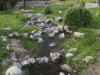 Billede 10