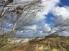 Bild 19