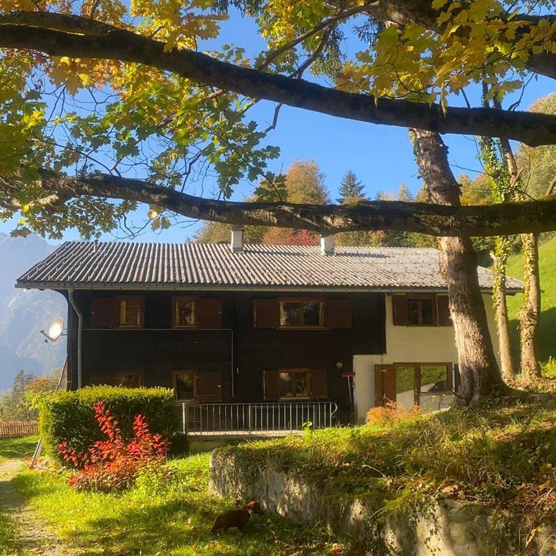 Sommerhus - 10 personer -  - Obergantschierstr. - 6781 - Bartholomäberg