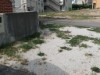 Billede 4