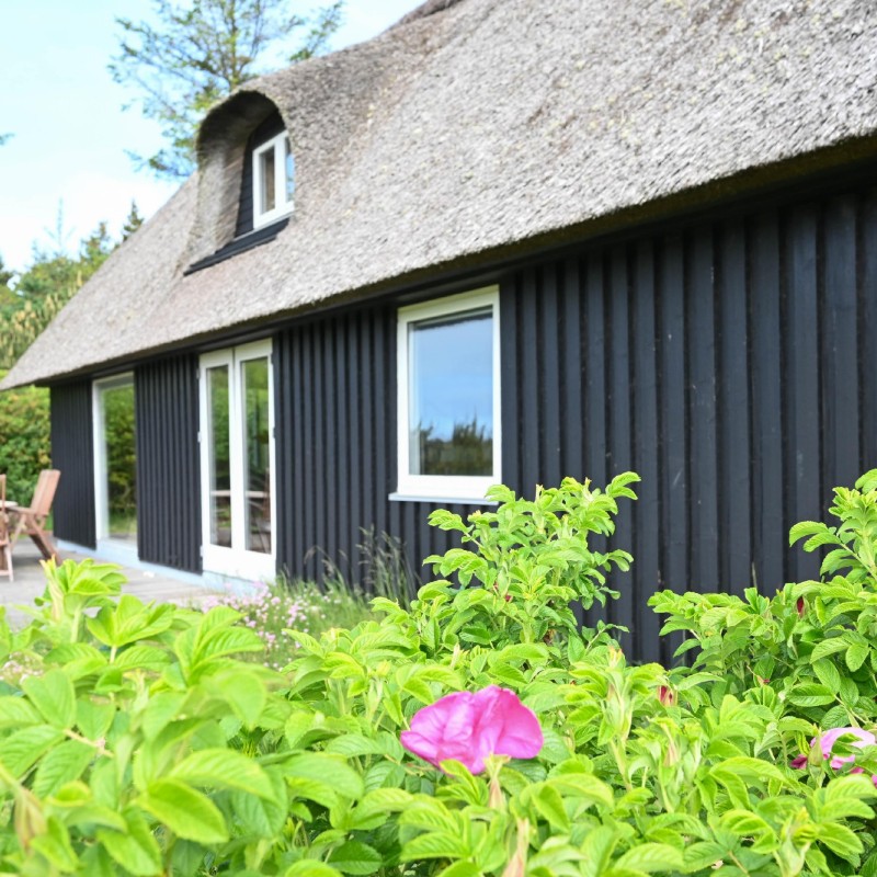 Ferienhaus - 4 Personen -  - Raketvejen - Vester Husby - 6990 - Ulfborg