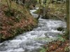 Bilde 6