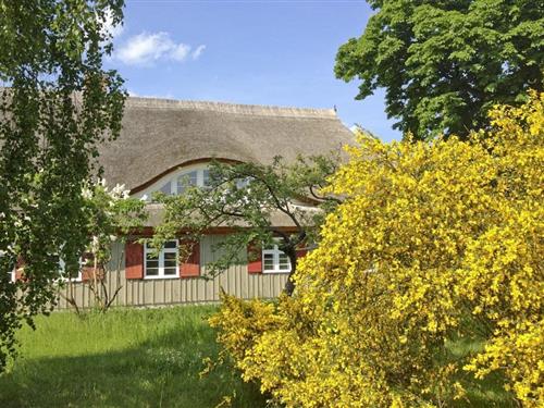 Sommerhus - 8 personer -  - 18375 - Wieck A. Darß