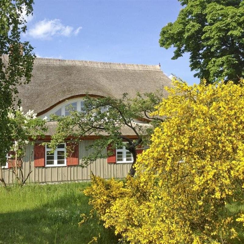 Sommerhus - 8 personer -  - 18375 - Wieck A. Darß