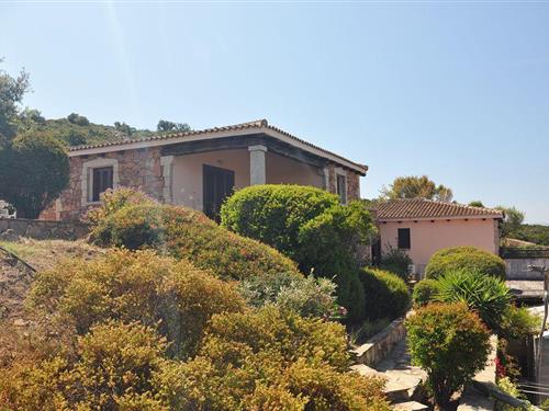 Ferienhaus - 9 Personen -  - Capo Coda Cavallo - 07052 - San Teodoro