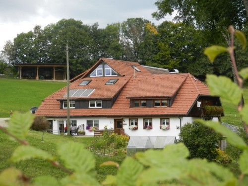 Bauernhaus - 7 Personen -  - 79875 - Dachsberg