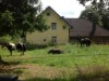 Bild 8 - Aussen