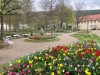 Bild 55