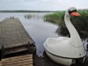 Billede 27