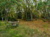 Image 16 - Plot