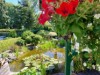 Bild 22