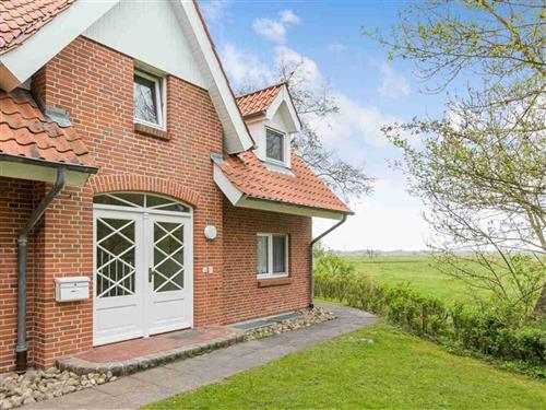 Ferienhaus - 4 Personen -  - Westmarken - 25826 - St. Peter-Ording