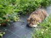 Image 26 - Outside