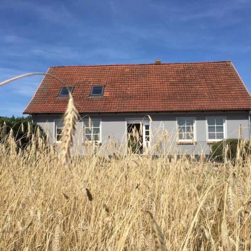 Sommerhus - 6 personer -  - 17375 - Ahlbeck