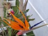 Image 30 - Outside