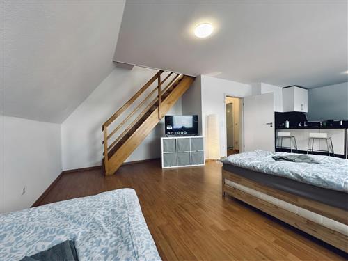 Semesterlägenhet - 6 personer -  - Rheine - 48431