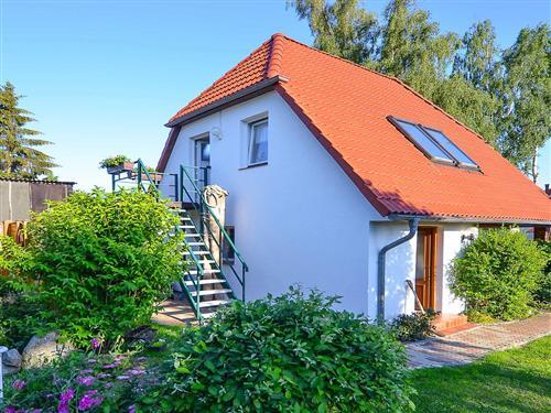 Ferieleilighet - 3 personer -  - Zum Pütter See 25 (alt: Dorfstr. - 18442 - Lüssow