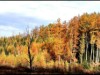 Bild 30