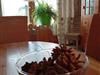 Bild 4 - Inde