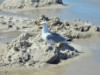 Bild 20