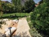 Image 36