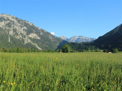 Semesterhus/Semesterlägenhet - 3 personer -  - Schwaig - 83324 - Ruhpolding