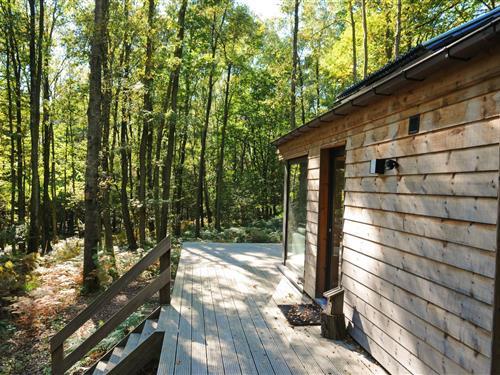 Feriehus - 4 personer -  - 5670 - Oignies En Thierache