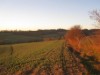 Billede 31