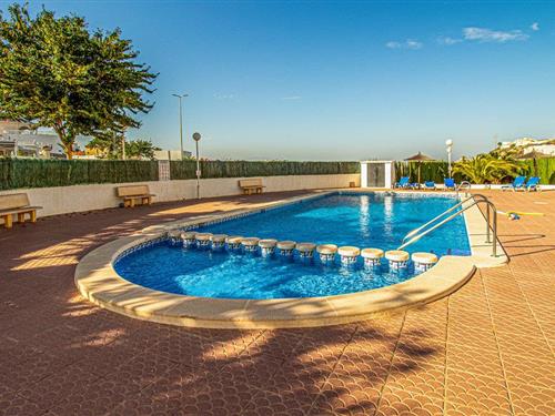 Ferielejlighed - 4 personer -  - C. Pico de la Sagra - Ciudad Quesada-Rojales - 03170 - Ciudad Quesada