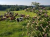 Bild 21 - Ude