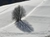 Bild 13 - Ude