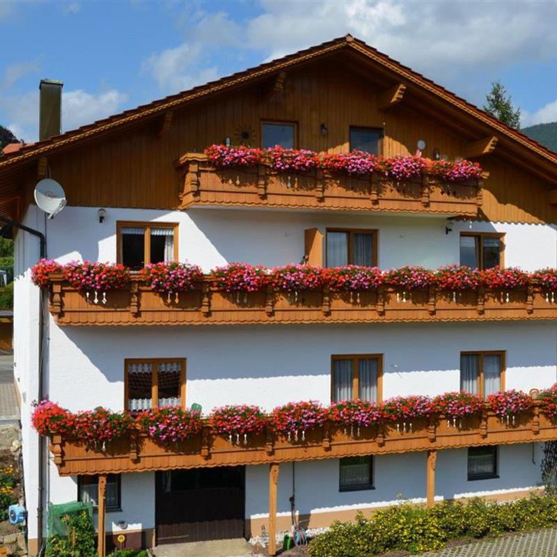 Ferielejlighed - 3 personer -  - Miesleuthenweg - 94249 - Bodenmais