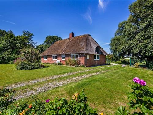 Feriehus - 4 personer -  - Gotteskoogdeich - 25924 - Emmelsbüll-Horsbüll