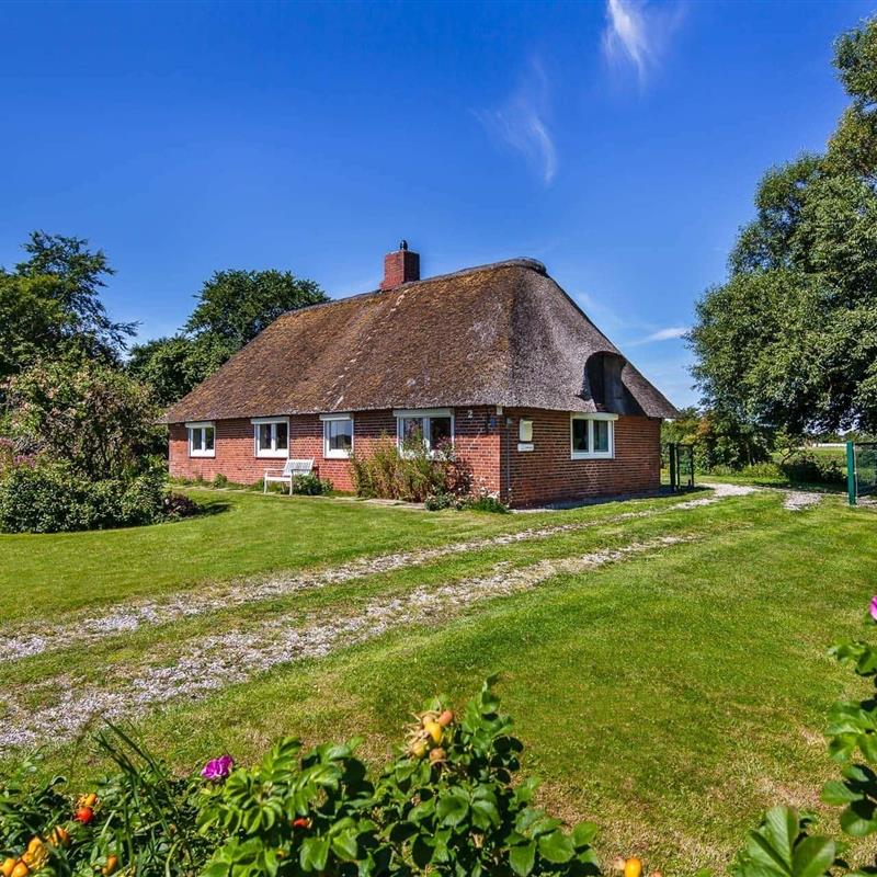 Sommerhus - 4 personer -  - Gotteskoogdeich - 25924 - Emmelsbüll-Horsbüll